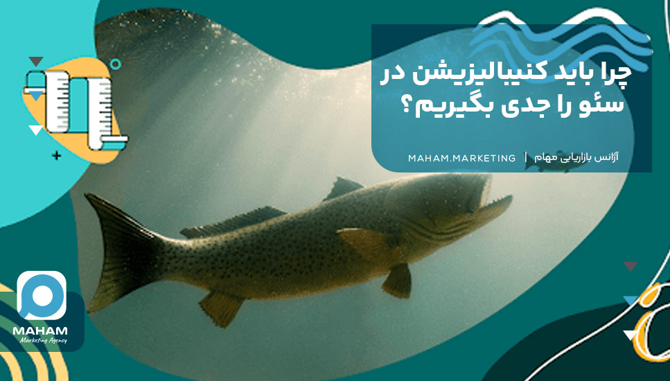 چرا باید کنیبالیزیشن در سئو را جدی بگیریم