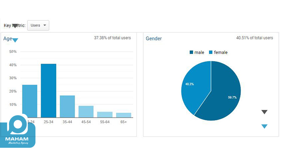 اطلاعات جمعیت‌شناختی (Demographics)