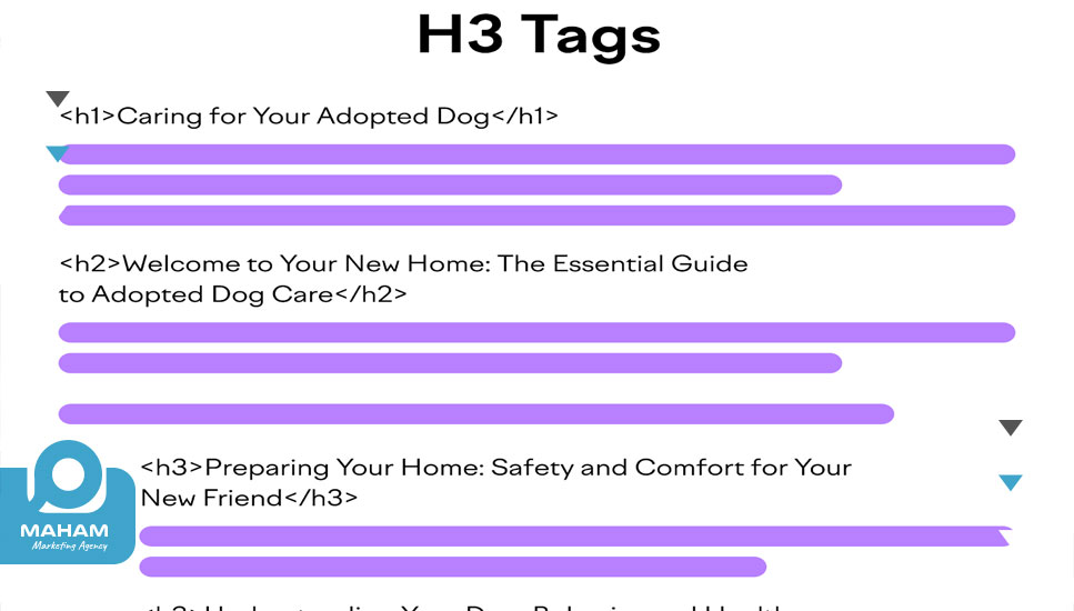 ترتیب و اهمیت تگ‌های هدینگ: از H1 تا H6