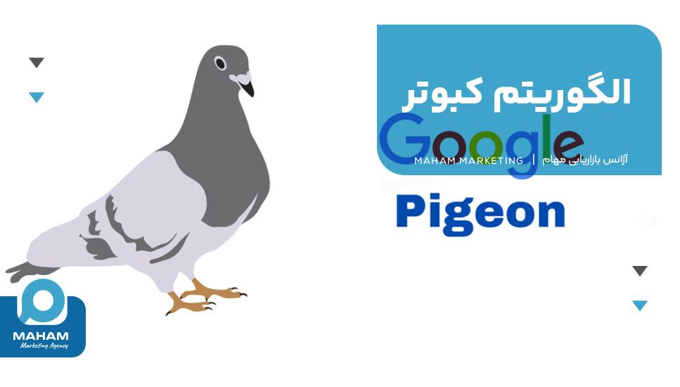 الگوریتم کبوتر