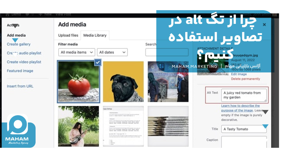 چرا از تگ alt در تصاویر استفاده کنیم؟