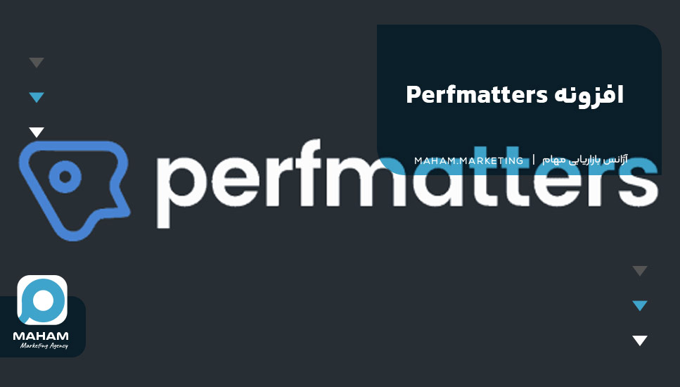 12. افزونه Perfmatters