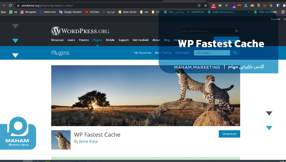 3. WP Fastest Cache